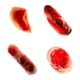 thumbnail image 1 of 4 piezas pegatinas de heridas para decoraciones de Halloween, 1 of 3