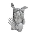thumbnail image 4 of Snake Women Face Bookend Libro decorativo Decoración Catiná Coleccionable Ornamento de resina para resina para el escritorio de la oficina en el hogar Gris, 4 of 9