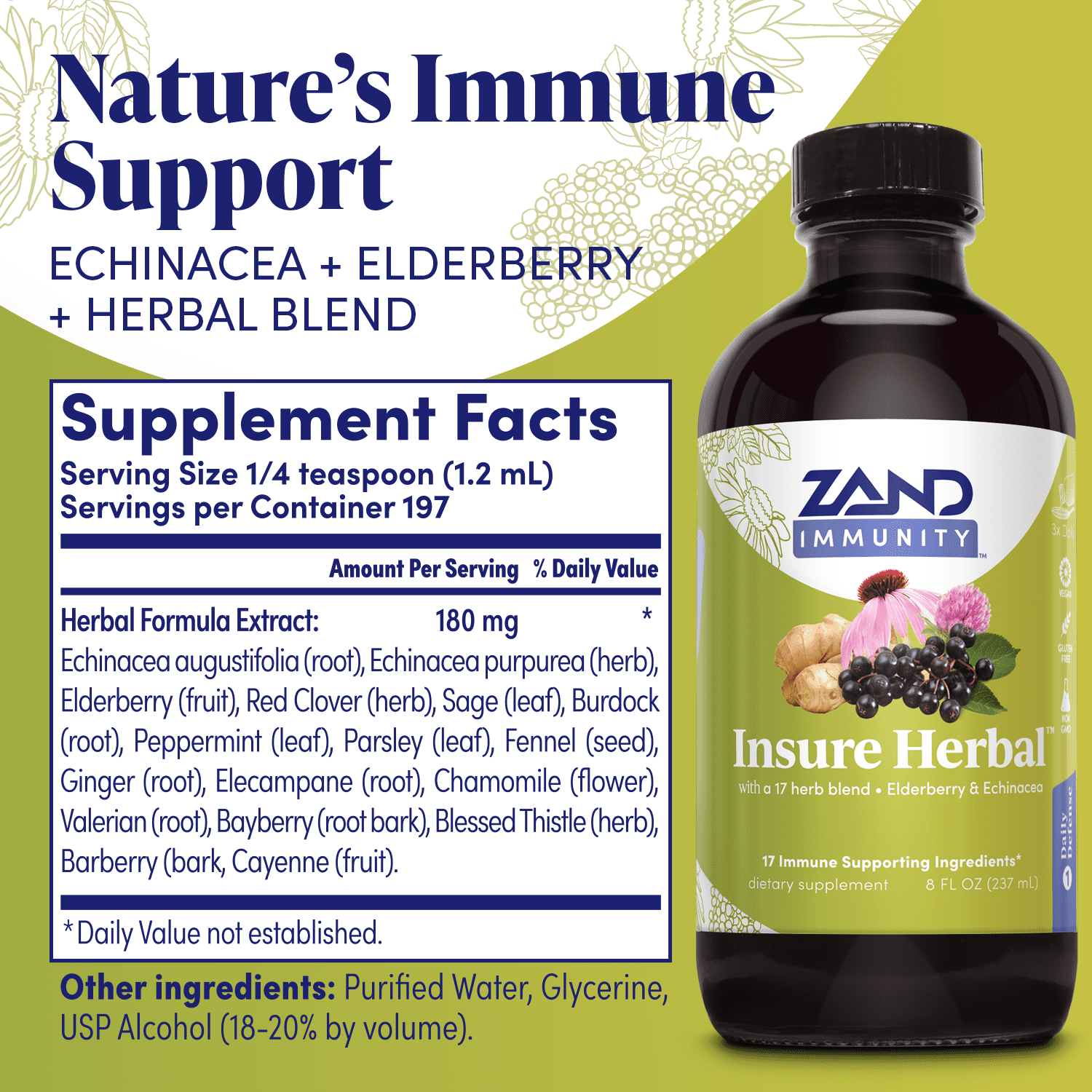 Jio Immune Support Elderberry Capsules - Natural Immune Defense Supplements  for Adults with Ginger Root, Turmeric, and L-Theanine - Helps Improve