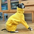 thumbnail image 4 of HQREA Dog Winter Warm Coat for Italian Greyhound Fullbody Whippet Dog Onesie, 4 of 6