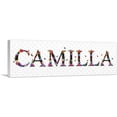 thumbnail image 1 of ARTCANVAS CAMILLA Girls Name Room Decor Canvas Art Print - Size: 48" x 16" (1.50" Deep), 1 of 9
