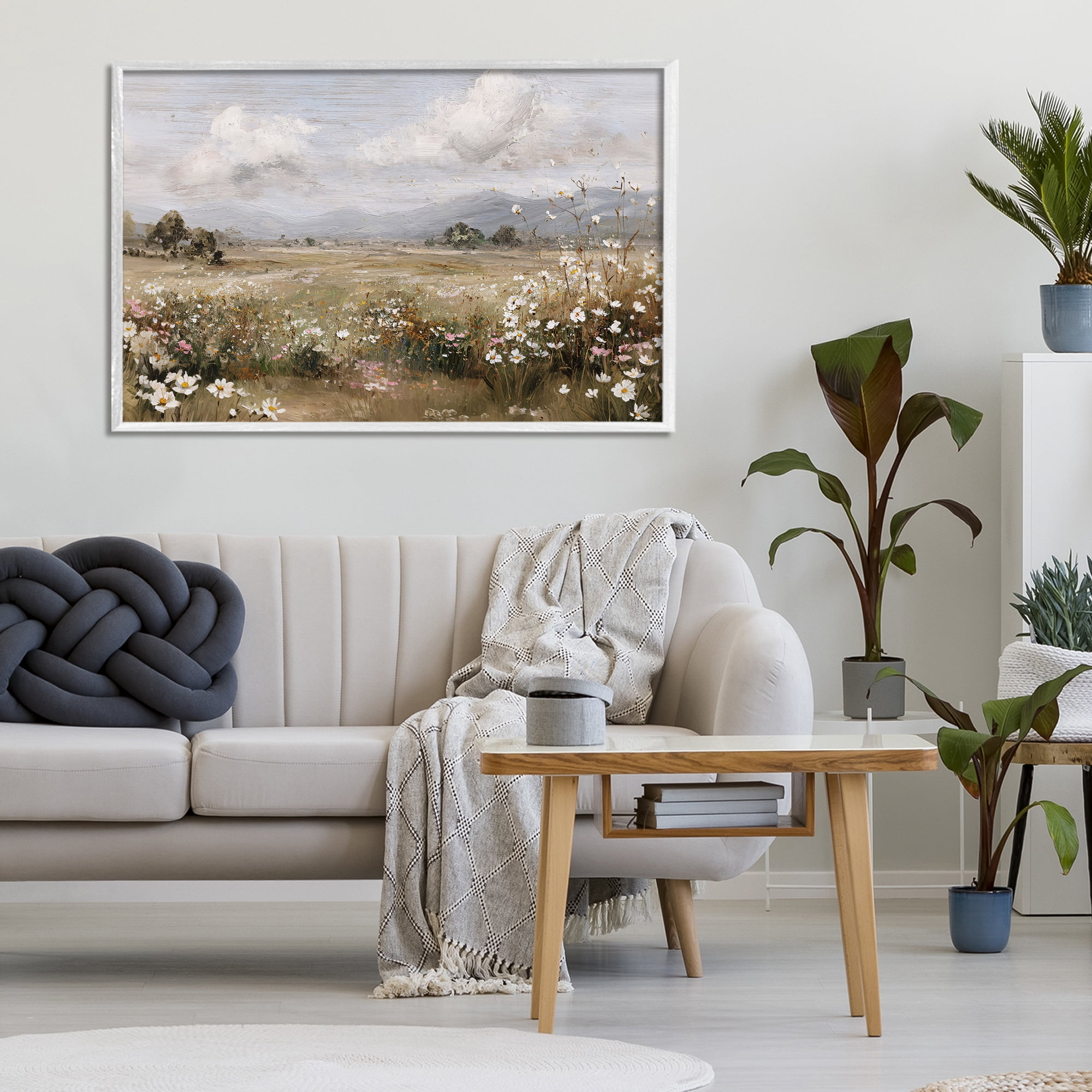 Stupell Industries Daisy Clusters in Field White Framed Giclee Art, design by Jacky Ngan