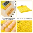 thumbnail image 3 of Egg Incubator Fully Automatic 112 Eggs Incubators Poultry Hatching Machine Temperature Control Integrated Egg Candler for Hatching Chickens Ducks Quail & Other Birds, 3 of 15