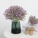 thumbnail image 1 of Simulated Babysbreath Fake Flowers Wedding Decoration Home Furnishings Hotels Indoor And Outdoor Artificial Flower Props Decoration, 1 of 6