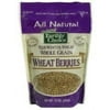 Bulk Grains 100% Organic Red Wheat Bran 25 Lb (Pack of 1)
