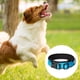 thumbnail image 3 of Collar para perros de nailon reflectante con acolchado de neopreno transpirable, ajustable., 3 of 5