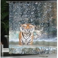 thumbnail image 3 of Ambesonne Tiger Shower Curtain, Exotic Wildlife Nature, 69"Wx84"L, Multicolor, 3 of 4