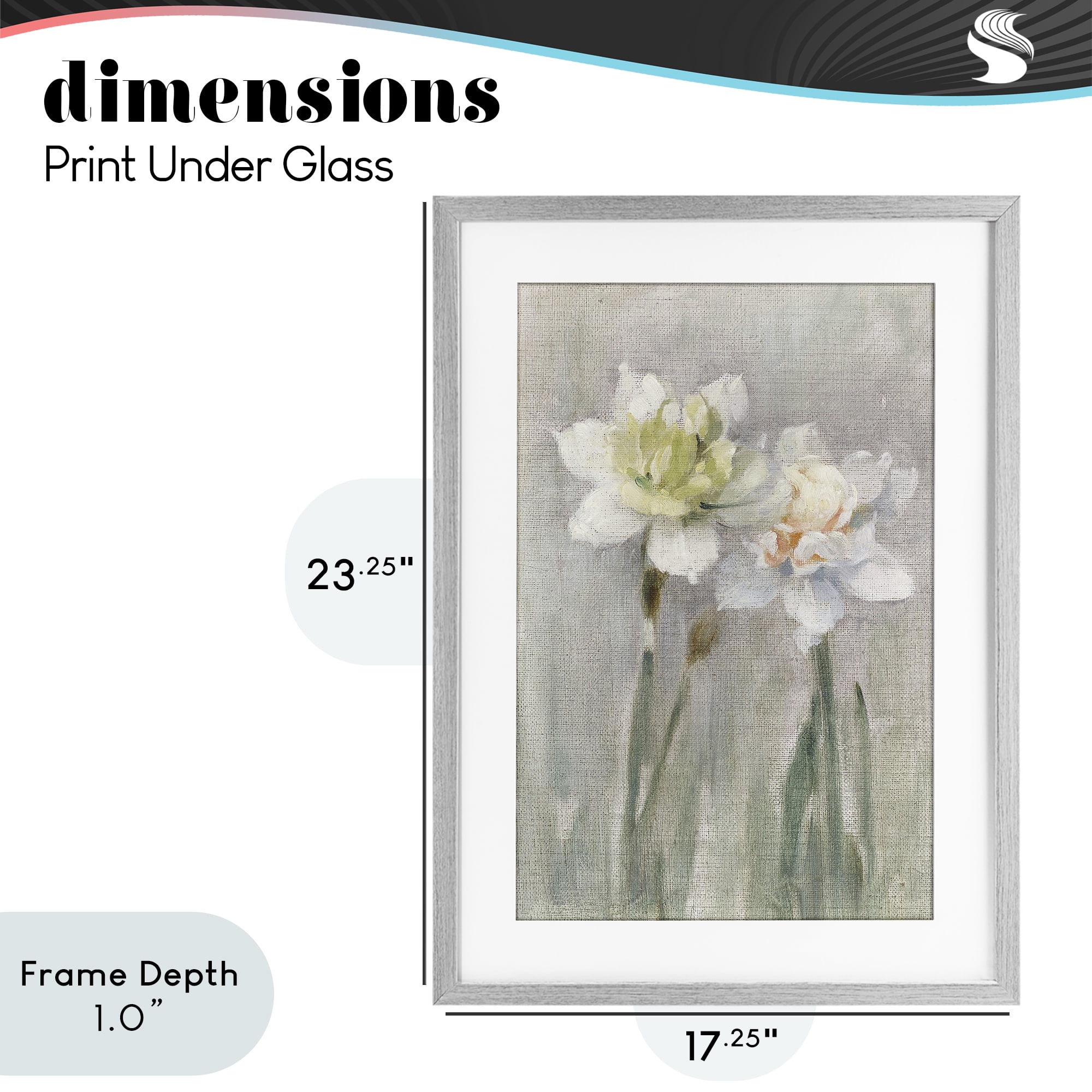 Stupell Industries Twin White Daffodils Gray Framed Print Under Glass, design by Stellar Design Studio