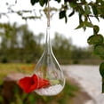 thumbnail image 4 of EeaseCA Create Refreshing Transparent Hanging Glass Planter Terrarium Vase Home Decor (Teardrop), 4 of 6