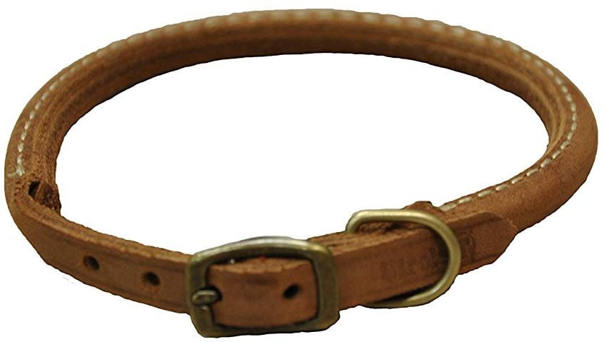 rustic leather dog collar