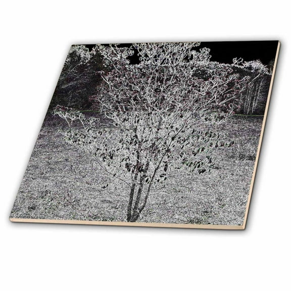 3dRose, Tree Graphic, 4 Inch Ceramic Tile