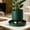 Army Green, variant on 22.7cm Heavy-Duty Round Plastic Plant Saucer – Thickened Water Catch Tray for Indoor & Outdoor Potted Flowers, Succulents – Breathable Base, Leak-Proof, Easy Clean – Plant Parent Essential, 1 Pack