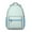 Green Checkered, variant on Green Checkered Backpack for School,Cute School Bag,Schoolbag with Adjustable Shoulder Straps & Padded Back,15.3"x11"x6.7"
