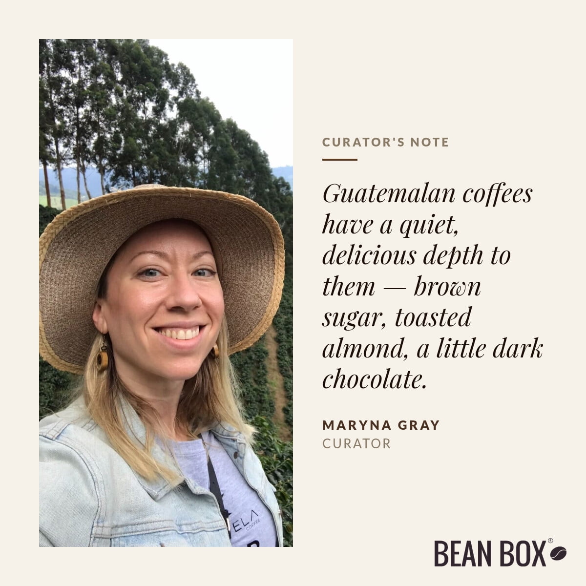 Guatemalan Reserve - Roasted by Vashon Island Coffee Roasterie - Whole Bean Coffee - 5lb Bag