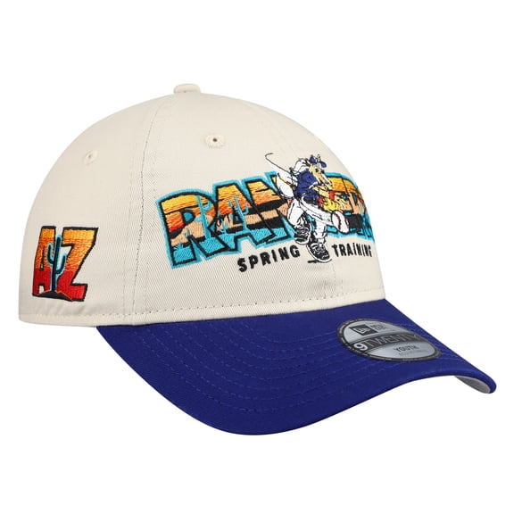 Youth New Era Stone/Royal Texas Rangers 2026 Spring Training Fan Pack Batter 9TWENTY Adjustable Hat