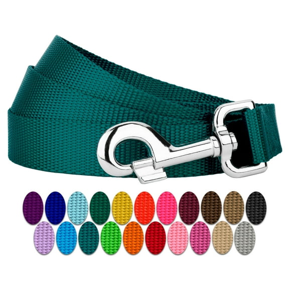 Country Brook Petz® 3/4 inch Nylon Dog Leash - Teal, 4 Foot