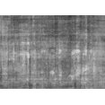 thumbnail image 1 of Ahgly Company Indoor Rectangle Persian Gray Traditional Area Rugs, 2' x 4', 1 of 1