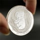 thumbnail image 1 of Moneda Koala Australiano 1oz Plata 9999 Edición 2021, 1 of 1