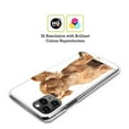 thumbnail image 2 of Head Case Designs Funny Animals Young Puppy Listening To Music Hard Back Case Compatible with Apple iPhone 13 Pro Max, 2 of 7