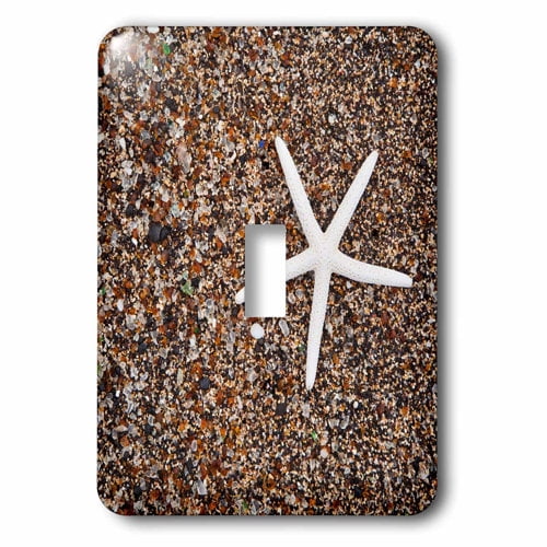 3dRose, USA, Hawaii, Kauai. Starfish skeleton on Glass Beach., single toggle switch