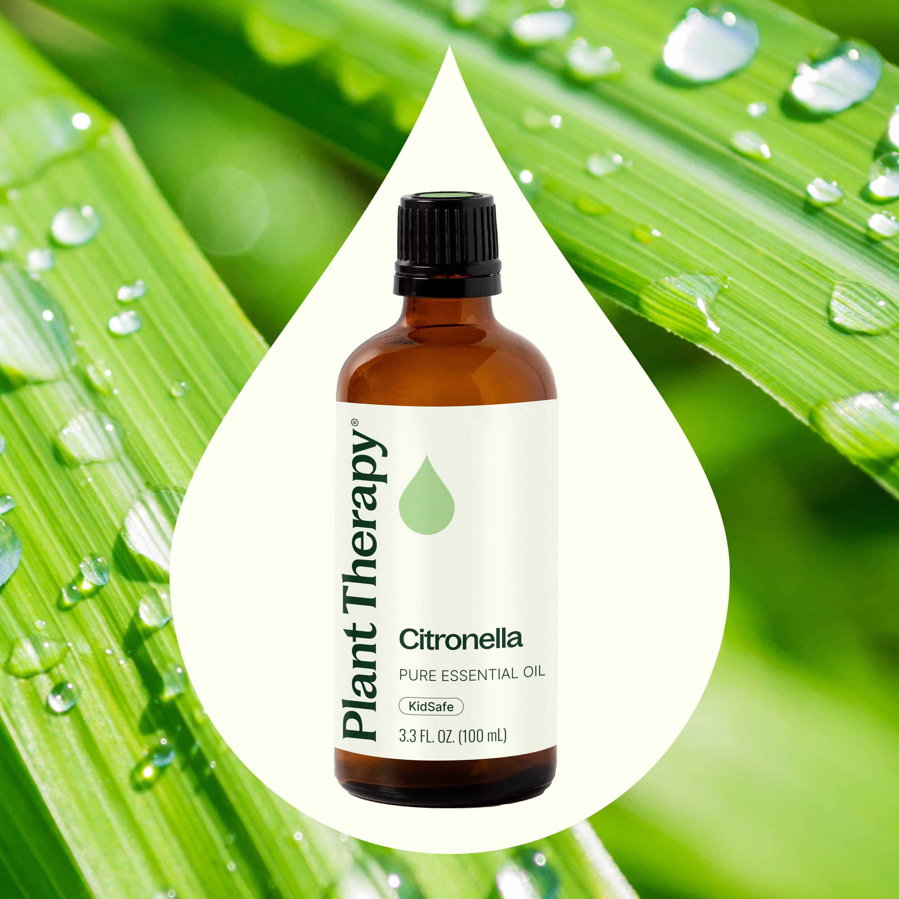 Plant Therapy Citronella Essential Oil 100 mL (3.3 oz) 100% Pure, Undiluted, Natural Aromatherapy