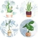 thumbnail image 1 of 4 pegatinas de cactus para ventana de 16 cm, diseño de plantas verdes, estáticas, removibles, impermeables, para dormitorio y baño., 1 of 9