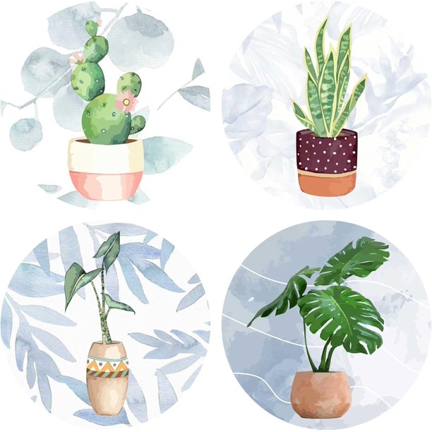 4 pegatinas de cactus para ventana de 16 cm, diseño de plantas verdes, estáticas, removibles, impermeables, para dormitorio y baño.