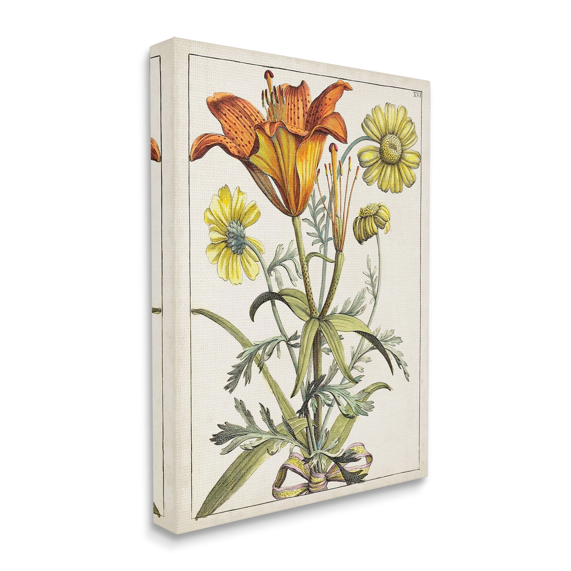 Stupell Industries Flowers Latin Study Botanical & Floral Painting Gallery Wrapped Canvas Art Print Wall Art, 16 x 20