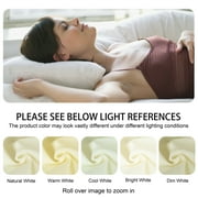 Ntbay Microfiber Bed Sheets Set - 1800 Series Soft Sheet Set- 4 Piece - Queen - White