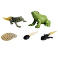 thumbnail image 4 of de juguetes de animales realistas, modelo de proceso de  en miniatura, de acción, modelo de , juguete CUTICAT Juego de crecimiento de rana para niños, 4 of 7