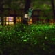 thumbnail image 4 of Luces Solares de Rana para Jardín Al Aire Libre, Impermeables y Solares, Decoración de Jardín de Rana, Figura para Caminos, Lámparas de Suelo, Paisaje Acuático., 4 of 5