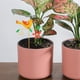 thumbnail image 5 of 3 estacas delicadas para jardín, decoración de pájaros, adorno de jardín, maceta de hierro colorida., 5 of 7