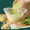 B*2, variant on 2Pcs Cheese Cloths Bag For Straining, Reusable Fine Mesh Cheesecloth Bags for Straining, Yogurt Almond Milk Strainers, Filter Bag for Soy Yogurt Cold Brew Coffee Tea Juice for Filter NutMilk