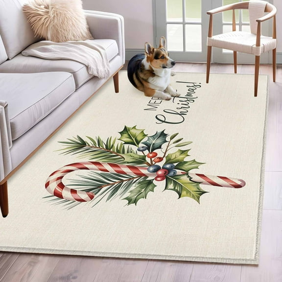 Christmas Area Rug 3x5 Washable Rug Non Slip Xmas Snowflake Botanical Winter Rustic Large Area Rug Indoor Floor Carpet for Entryway Bedroom Kitchen Living Room Home Office Dining Room Nursery
