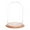 Oak Base, variant on Plymor 9.75" x 15" Glass Display Dome Cloche (no Base)