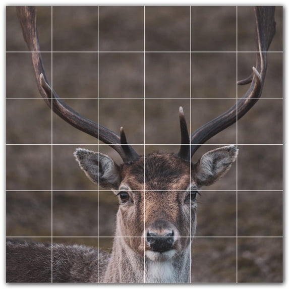 Picture-Tiles.com: Deer Ceramic Tile Wall Mural WAL500468-66L. 48"W x 48"H using (36) 8" x 8" Ceramic Tiles-Satin Finish