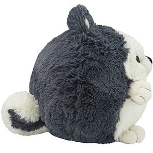 squishable husky