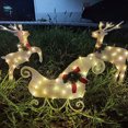 thumbnail image 1 of Las decoraciones navideñas con luces LED iluminan el patio con muñecos de nieve, trineos, alces y pingüinos., 1 of 5