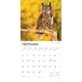 thumbnail image 4 of Owls | 2026 12x24" (Hanging) Square Wall Calendar | Plastic-Free, 4 of 9