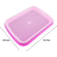 thumbnail image 5 of Semences Sprouter Plateau Beans Filtre Multifonction Germination Plateau Sprout Maker Pour Graines Germes (rose), 5 of 5
