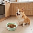 thumbnail image 6 of LLDYYDS Collapsible Pet Bowl for Cats & Dogs Portable Food & Water Dish, Ideal for Walking 15cm, 6 of 9
