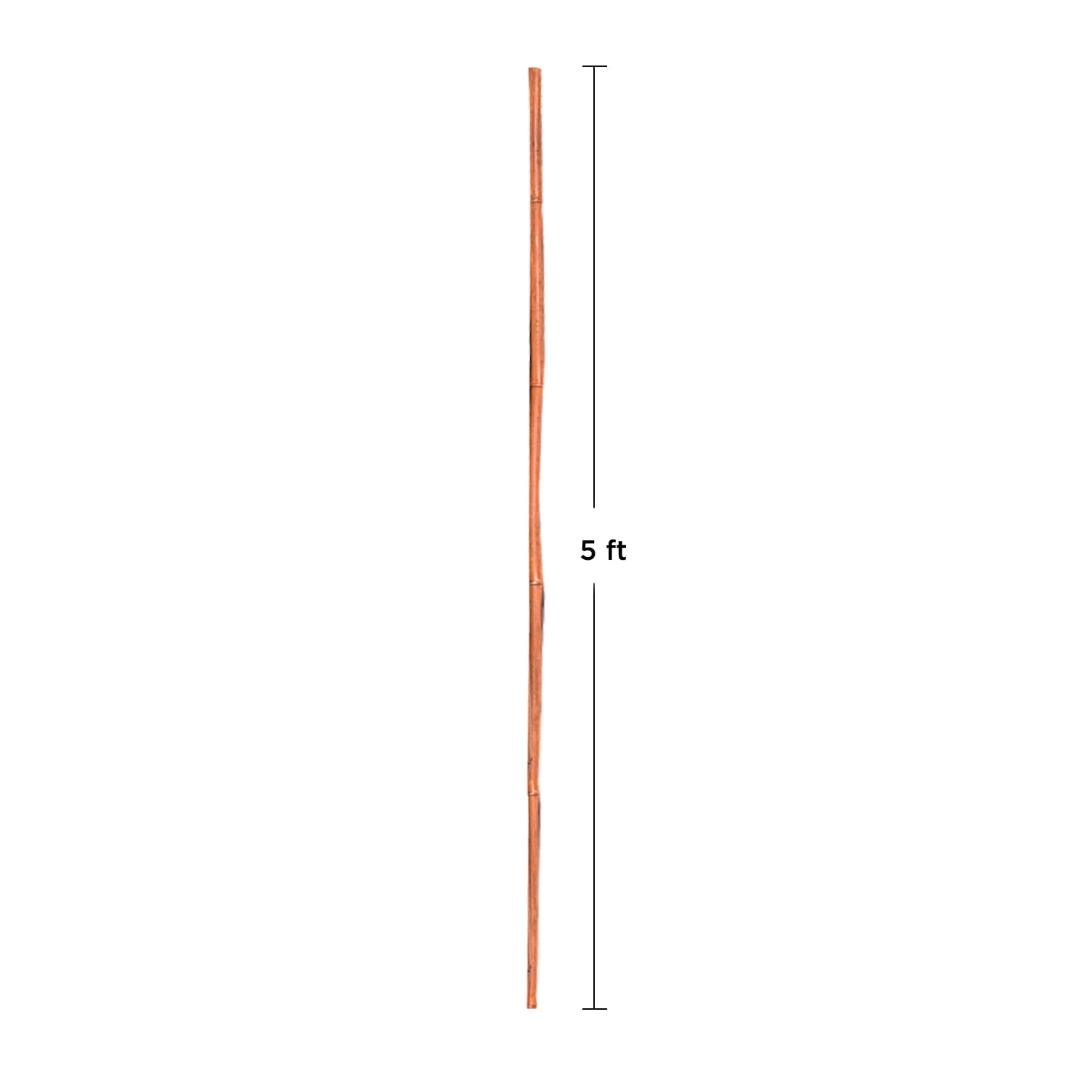 Expert Gardener Bamboo Plant Stakes, 5-Ft, Set of 12, Natural and Sustainable Garden Supports