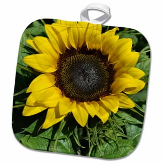 Wrapables Sunflower Coasters, Trivet Mats, Pot Holders (Set of 2