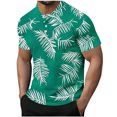 thumbnail image 2 of Wpawbk Haut d'Hiver en Polyester pour Hommes Mode Décontractée Manches Courtes Col Rond à Boutons Quotidien Extérieur, 2 of 5