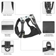 thumbnail image 3 of Vsdgher Cute Whale Pattern Dog Harness,No Pull Pet Harness with Soft Padded Handle,Adjustable Reflective Vest with 2 Buckles,4 Slide Buckles,S-XL Medium, 3 of 5