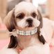 thumbnail image 4 of Apuakthei - Juego de 2 collares de perlas, bonitos collares para perros, gatos, cachorros, gatitos, bodas, fiestas de cumpleaños (M), 4 of 5