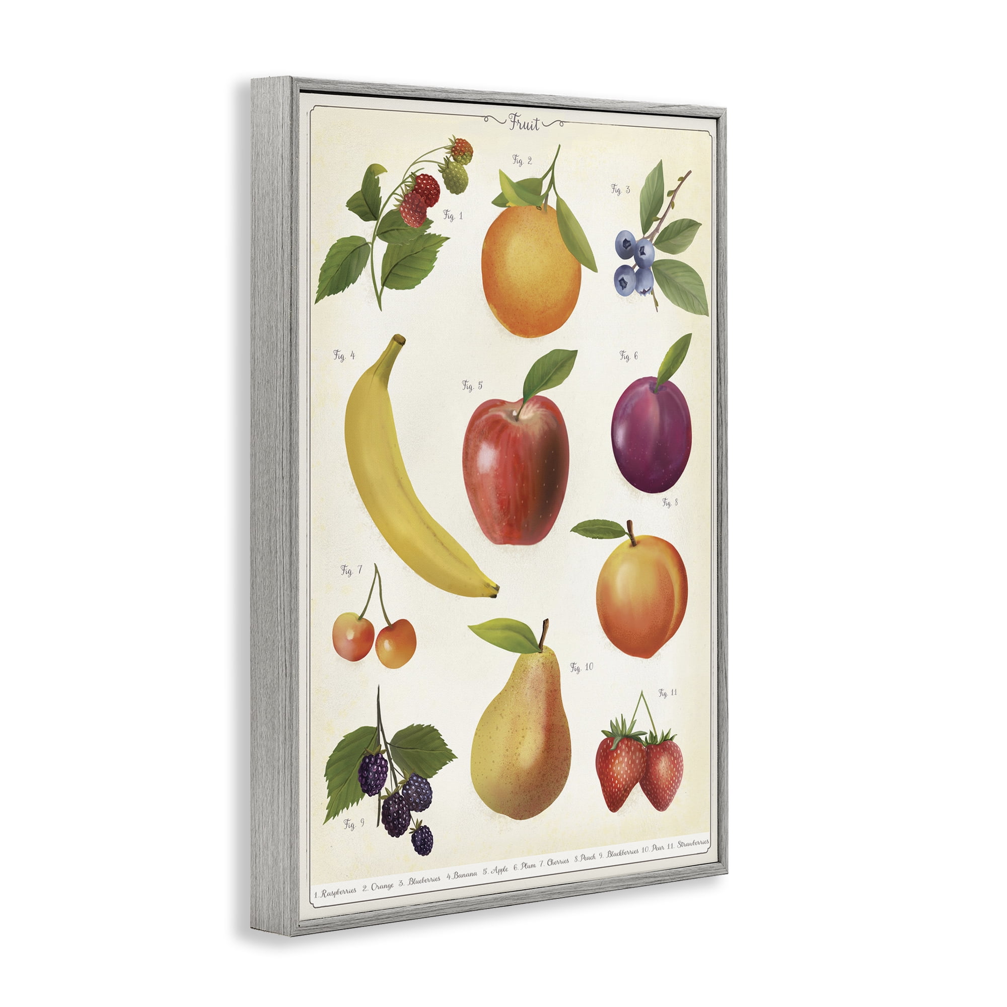 Stupell Industries Fruit Collection Studies Gray Framed Giclee Art, design by Diane Neukirch