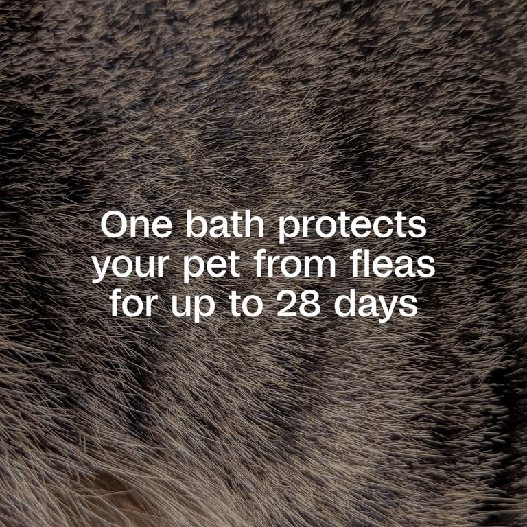 ADAMS Plus Flea & Tick Foaming Shampoo for Dogs photo 3