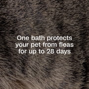 ADAMS Plus Flea & Tick Shampoo with Precor for Dogs & Puppies, Flea Shampoo to Treat Flea Infestations, Kills Ticks, Fleas, Flea Eggs & Lice, Cleans and Conditions Coat, 24 fl oz