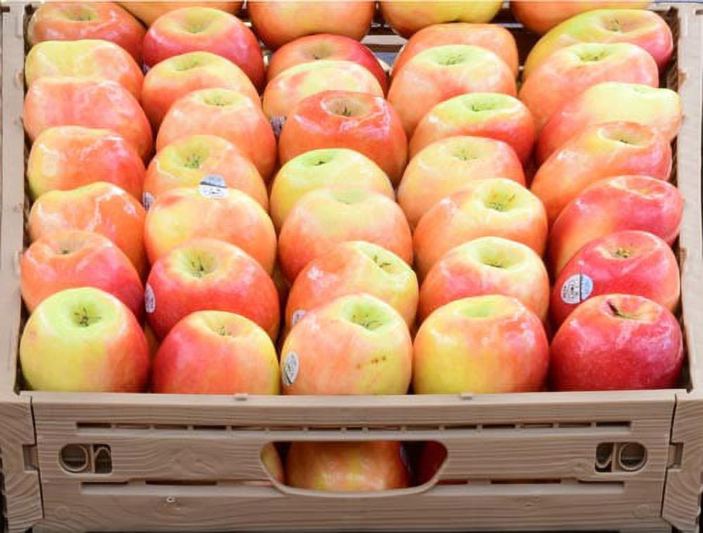 Save on Apples Pink Lady Order Online Delivery